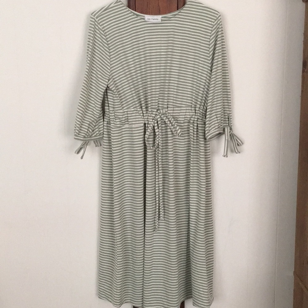 NWT sage cinch waist dress